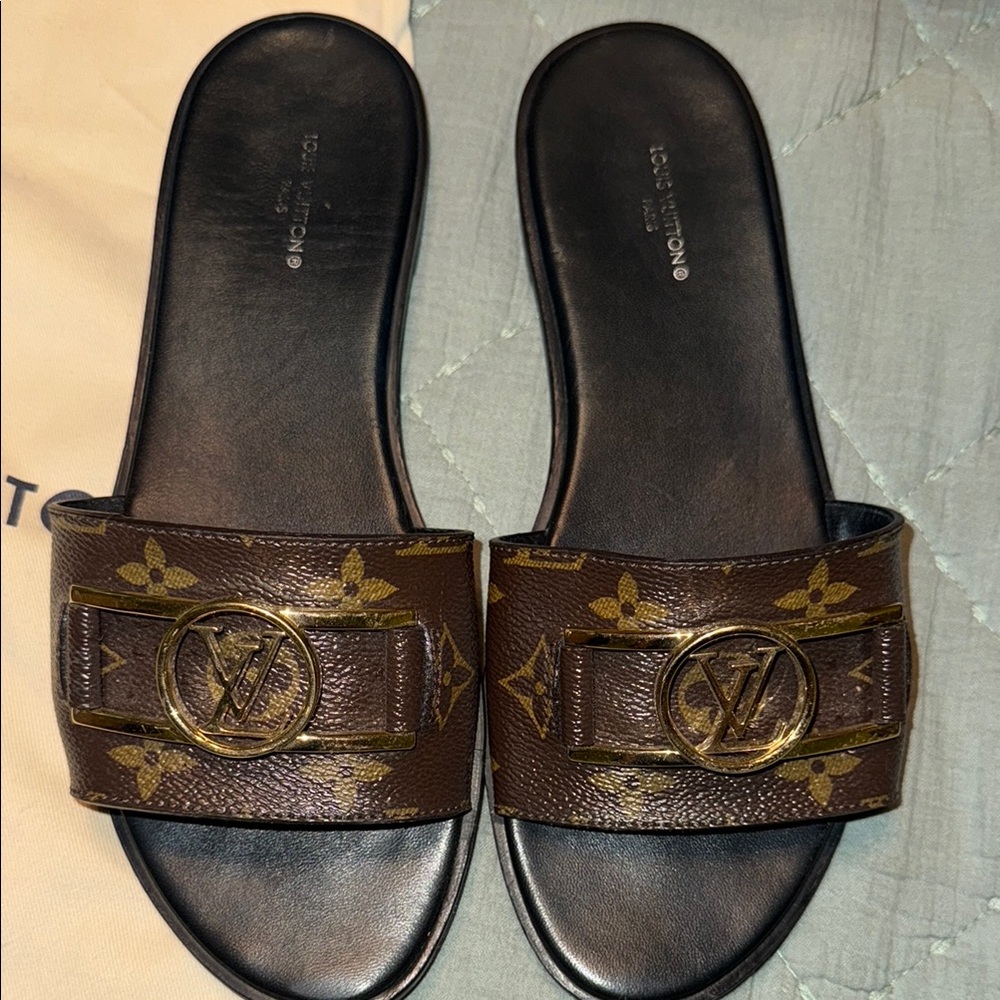 Louis Vuitton Brown and Gold Slide Sandals